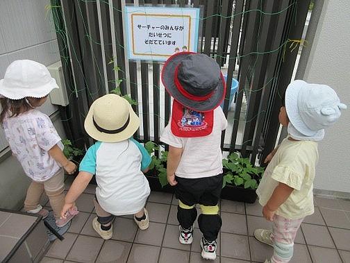 画像7.jpg