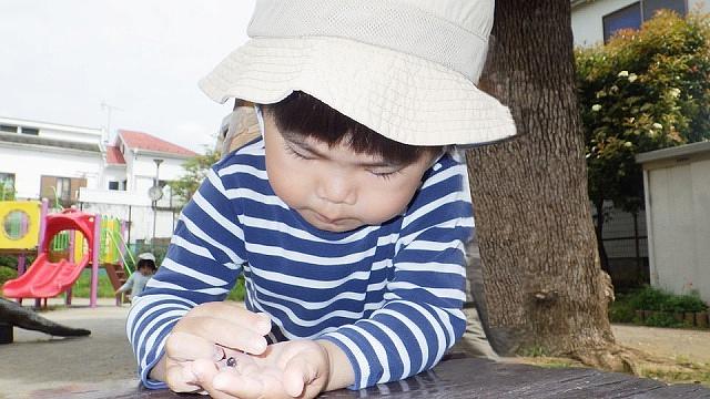 春の自然物に触れて遊ぼう！