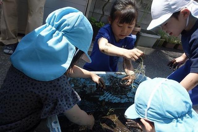 画像6.jpg