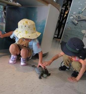 水族館へれっつぎょー！