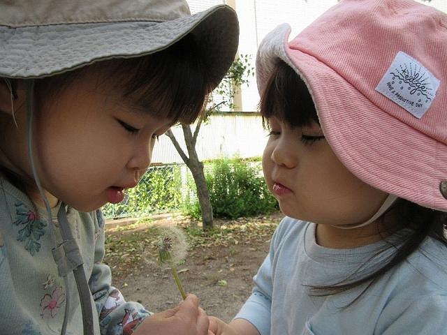 画像11.jpg