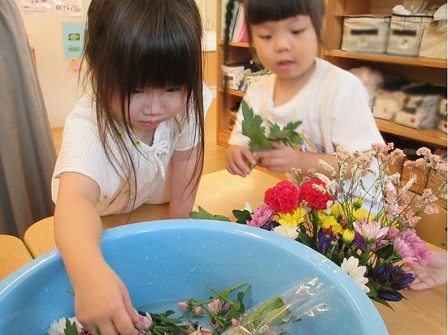 矢向4.jpg