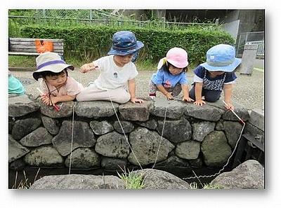 ザリガニ釣りに挑戦！！