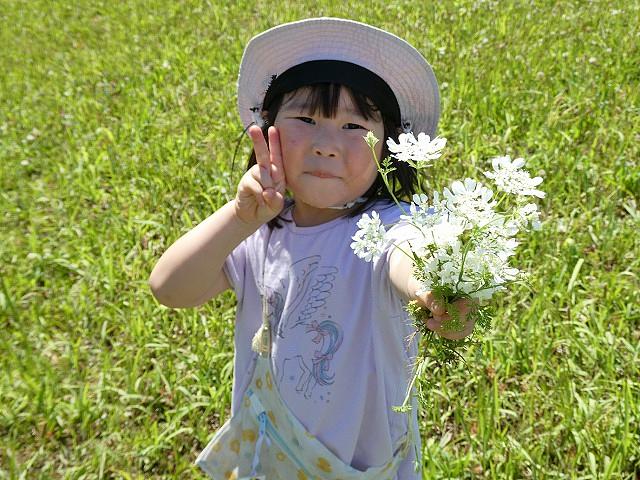 まなびのたね