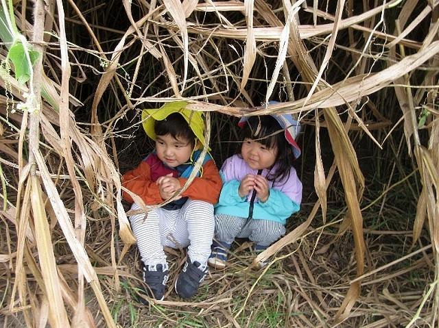登戸②.jpg