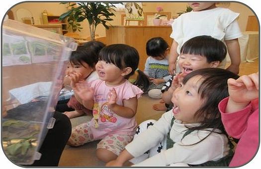 「わたしたち」と「あおむし」③