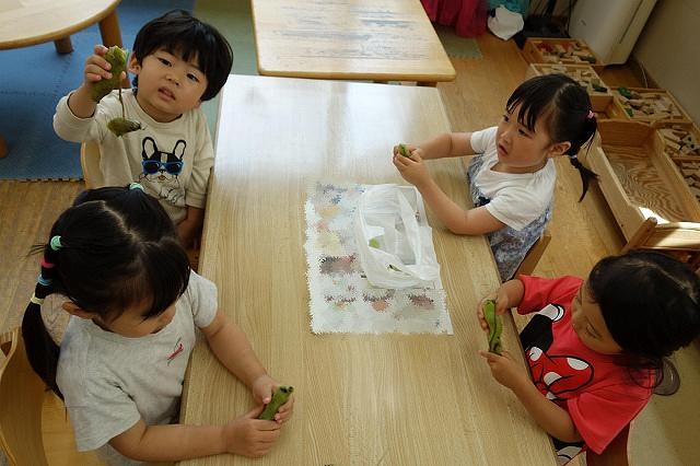 画像3.jpg