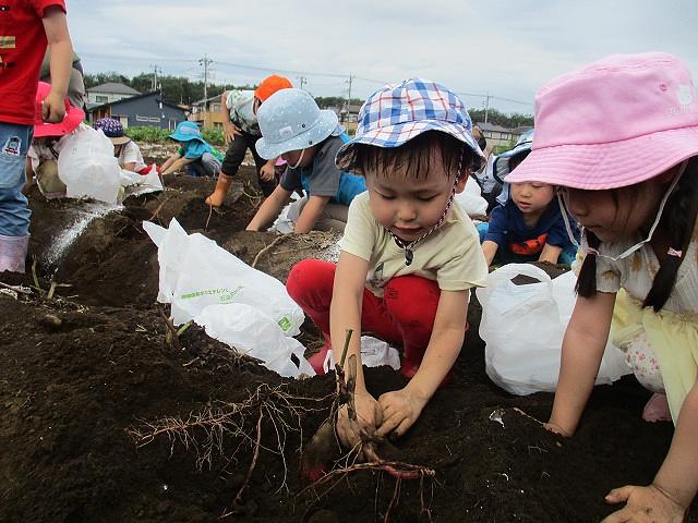 【機密HRC-P】堀留町_幼児_②_034.jpg