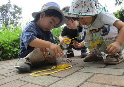 「ダンゴムシ、怖いのかな？」#020生き物は保育士一人分