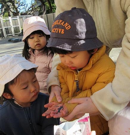 小松菜おおきくなあれ!
