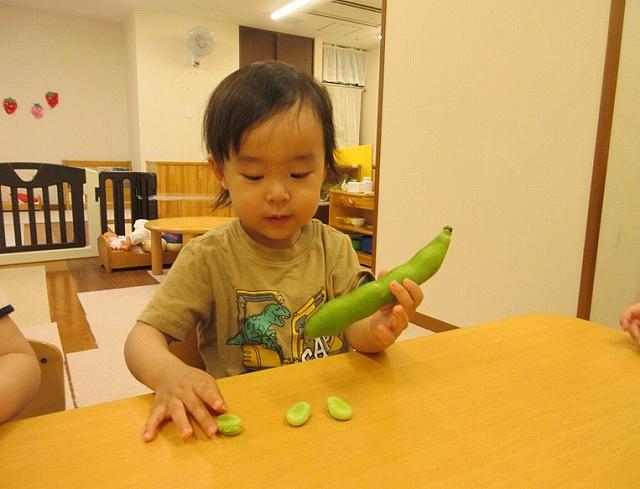 あしや本物②.jpg