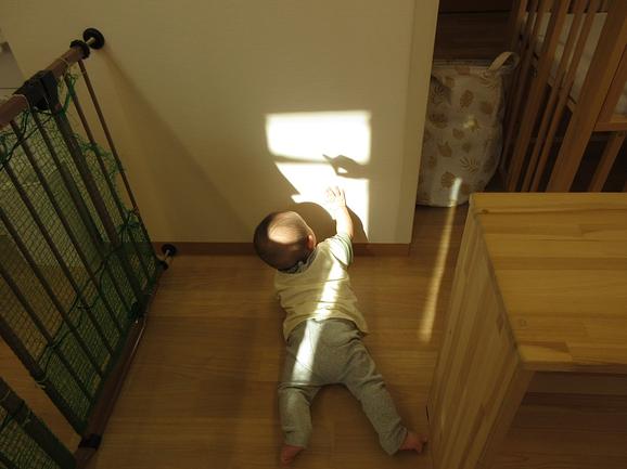 こどもの心が動く瞬間を見逃しません。