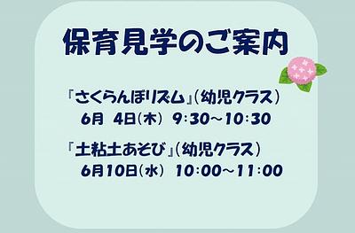 保育見学のご案内【6/4(木)🍒・6/10(水)🌱】