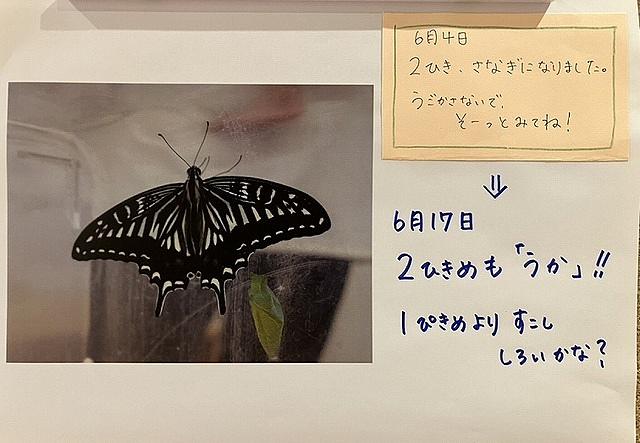 画像5.jpg