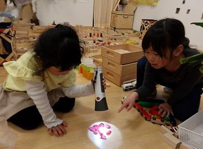 子ども達の自由研究