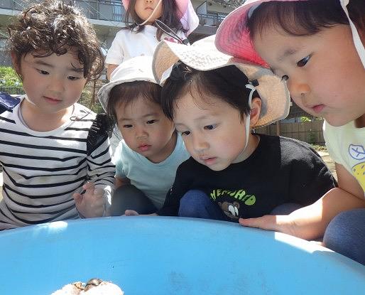画像5.jpg