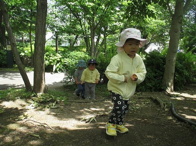 小杉①.jpg