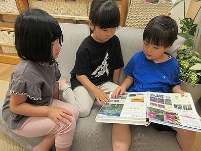 図1.jpg