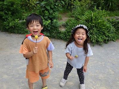 公園で見つけた梅を使って遊ぼう！！