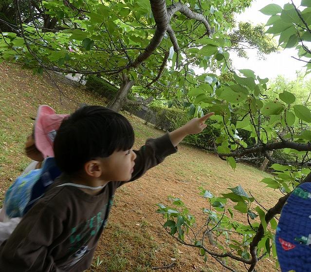 画像8.jpg