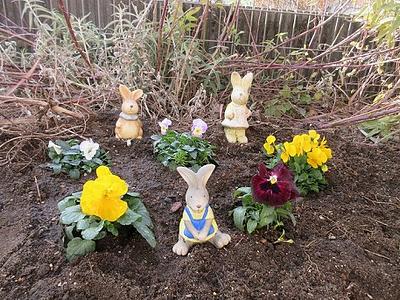 園庭のお花買い物