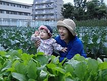 ベネッセ 津田山保育園