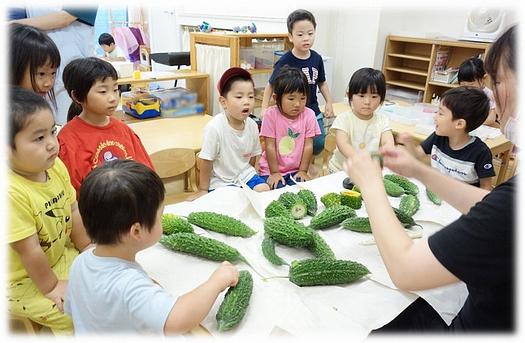 ゴーヤの中身ってどうなってるの？