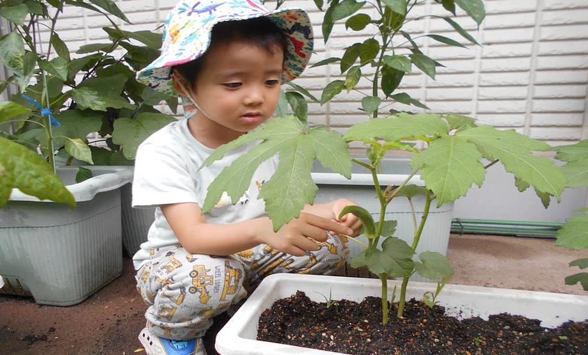 大きくなってる🌱