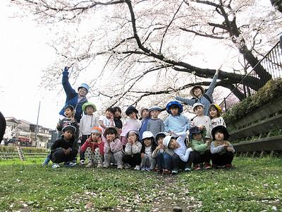 野川桜並木のトンネルで春を満喫してきたよ！！
