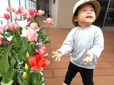 お花見日和