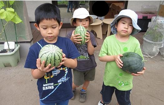 農園レストラン②