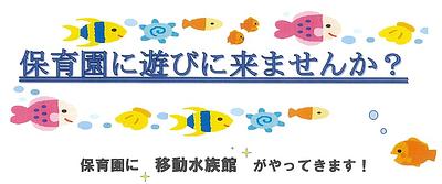 🐟9月22日(金)🐟移動水族館が保育園にやってきます！