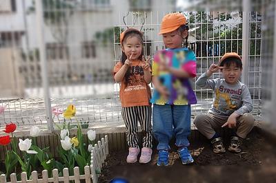 春　チューリップ咲いた　笑顔も咲いた