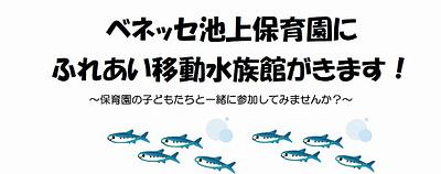 ふれあい移動水族館が来ます！🐟🦀🐢