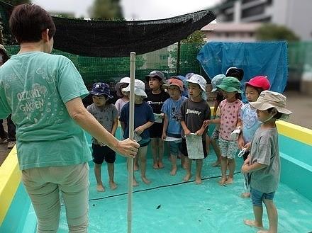 最高学年の力発揮！プール掃除