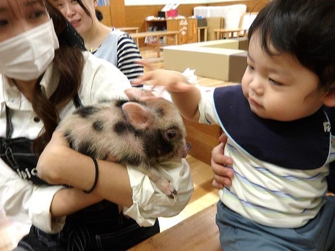 画像2.jpg