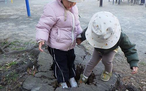 穴の中には何が？