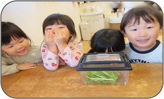 「わたしたち」と「あおむし」①