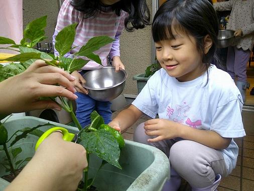 自分で育てた野菜は特別！