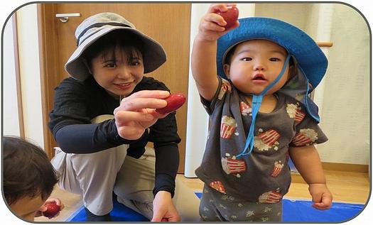親子でしょくいく「じゃがいも“洗って/見て/食べて”みよう！」