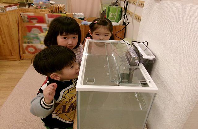 青葉4.jpg