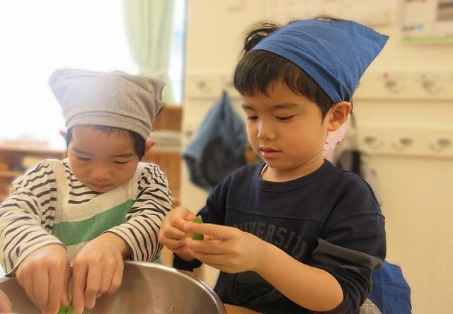 お豆について調べたよ