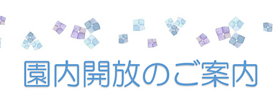 🐸6月・園内開放のご案内✨