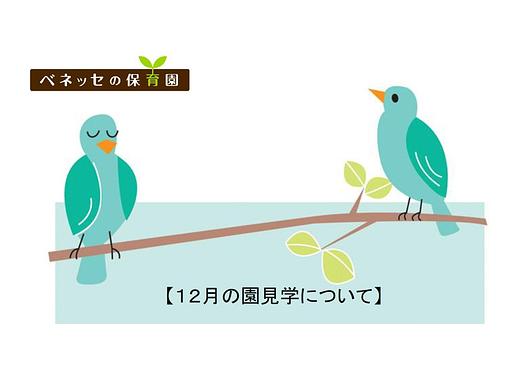 👒１２ 月の園見学について👒
