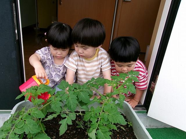 保土ヶ谷①.jpg