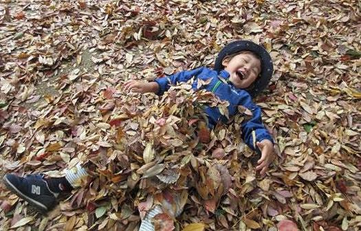 落ち葉って楽しいね