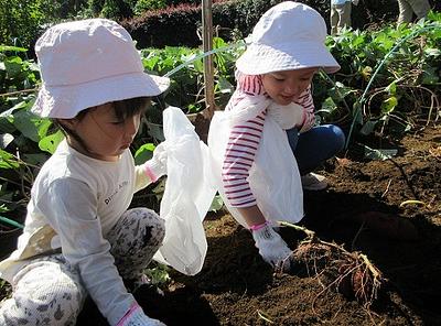 サツマイモほりに出かけたよ♪