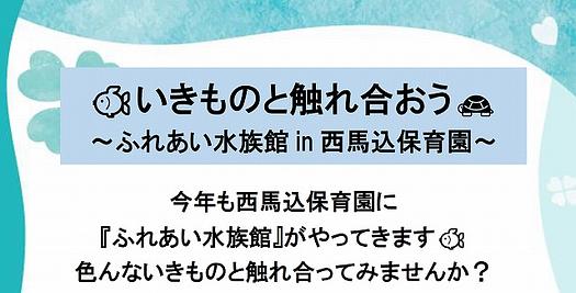 🐟いきものと触れ合おう🐢～ふれあい水族館 in 西馬込保育園～