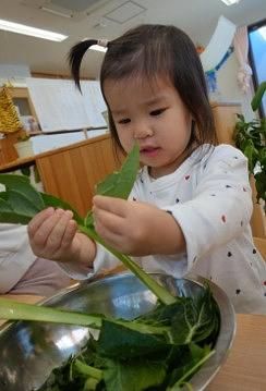 野菜に触れて、匂い、感触、味を楽しもう！🥬