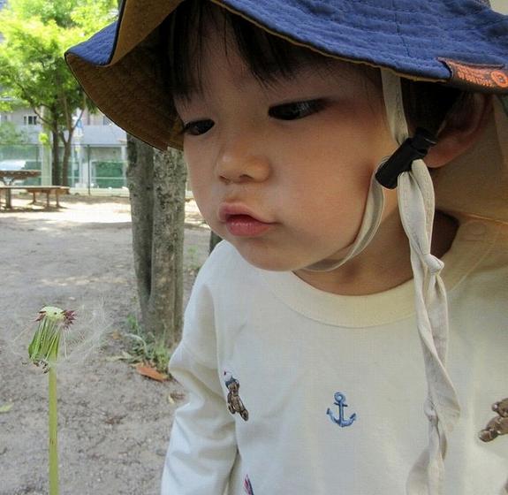 画像12.jpg